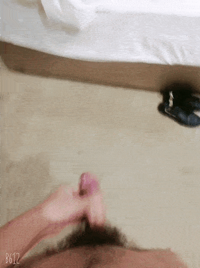 1 (2)4103 (2).gif